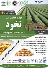 پوستر